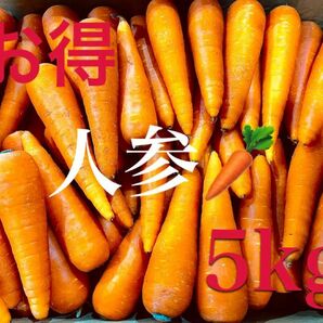 新鮮野菜の人参　5kgBOX 全国送料無料