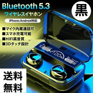 ワイヤレスイヤホン Bluetooth 5.3
