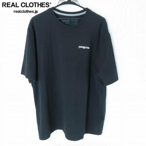 ☆patagonia/パタゴニア フィッツロイ ホライゾンズ レスポンシビリティー 半袖 Tシャツ 38501SP22 L /LPL