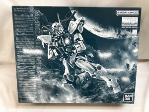 【未開封】1/100 MG ZGMF-X12D ガンダムアストレイ アウトフレームD 「機動戦士ガンダム SEED DESTINY ASTRAY」