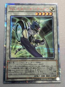 【1円～】TG スター・ガーディアン【SAST-JP039 20thSE】 遊戯王OCG