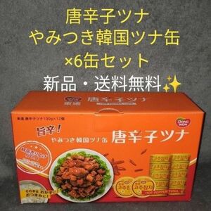 旨辛！やみつき韓国ツナ缶【唐辛子ツナ】100g × 6缶