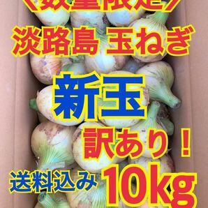 淡路島 玉ねぎ 玉葱 新玉 10kg 送料込み 農家直送 南あわじ 訳あり