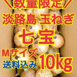 淡路島 玉ねぎ 玉葱 10kg 送料込み 農家直送 南あわじ 七宝 M