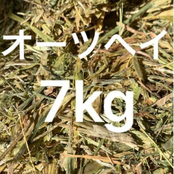 オーツヘイ　7kg