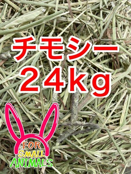 カナダ産　チモシー　24kg