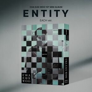 チャウヌ アルバム ENTITY