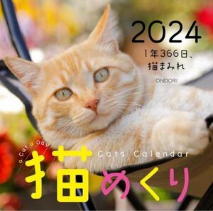 最安値！　早い者勝ち！　猫めくり　猫まみれ　2024日めくりカレンダー　台座付き