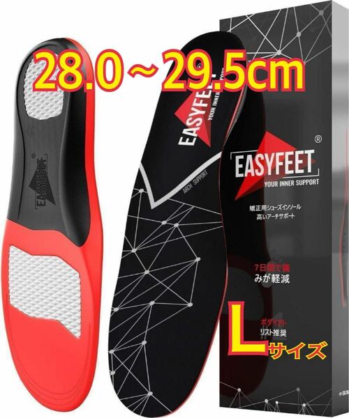 【残り2点】 EASYFEET アーチサポート インソール　L 靴 中敷き 扁平足 疲れにくい 衝撃吸収 土踏まず スポーツ