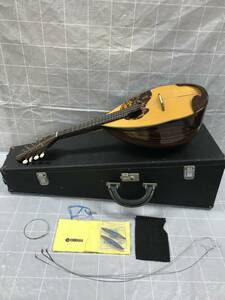  Italy departure . mandolin Ishikawa . two . work 1978 year made hand . goods handicraft . stringed instruments stringed instruments sound musical instruments material musical performance case attaching hobby collector 