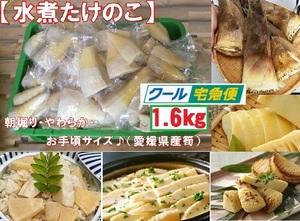 Y46. immediately ...[ vacuum water . bamboo shoots 1.6kg 4~5 sack ] tilt flight 