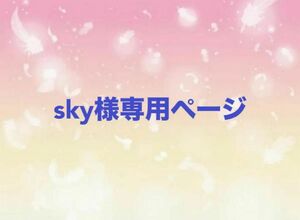 sky様専用Let's goレベル4 レッツゴー絵本最新版　全冊音源　動画付　