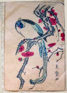 f24051062〇一枚刷物 彩色石版画 花鳥 昭和時代〇和本古書古文書
