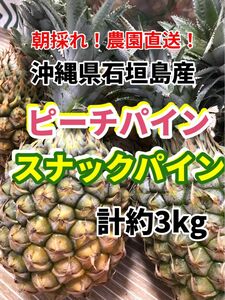 沖縄県石垣島産ピーチパイン・スナックパインミックス約3キロ 