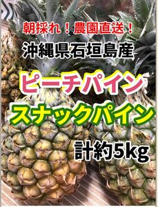 沖縄県石垣島産ピーチパインスナックパインミックス計約5キロ 