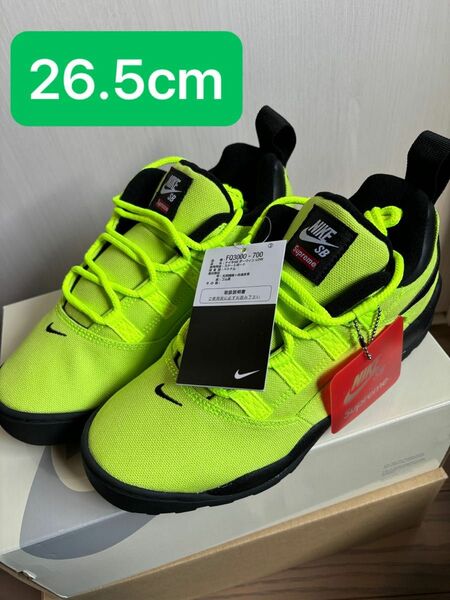 Supreme Nike SB Darwin Low Green 26.5