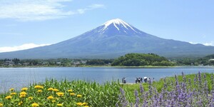 フリー画像 　画像データ 即決　1円　富士山画像データ