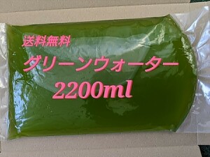 グリーンウォーター 濃いめ 2200ml　青水　メダカ　稚魚　ミジンコ