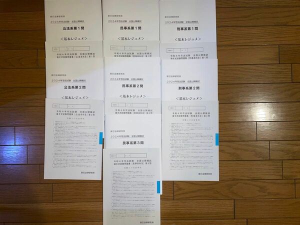 辰巳法律研究所　令和6年　司法試験　全国公開模試　論文式試験　公法系　民事系　刑事系　2024年