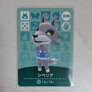 シベリア　amiibo　どうぶつの森　あつ森