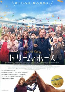 ★映画チラシ「ドリーム・ホース」2023年