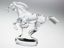 n750 Baccarat バカラ クリスタル 走る馬 ホース アニマル フィギュリン オブジェ 飾物_画像2