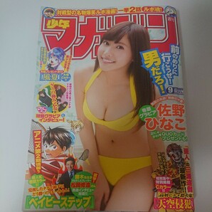 週刊少年マガジン 佐野ひなこ グラビア 水着 2015年 2月11日号の画像1