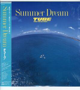 LP 美品 チューブ　Summer Dream【J-914】