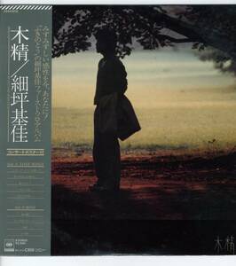 LP 美品 ふきのとう 細坪基佳 ファースト・ソロアルバム　木精【J-962】