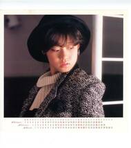 LP カラー・ポートレート2枚付き　カレンダー付き　見開き　中森明菜　メモワール　BEST AKINA【J-1052】_画像5