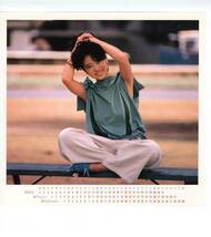 LP カラー・ポートレート2枚付き　カレンダー付き　見開き　中森明菜　メモワール　BEST AKINA【J-1052】_画像7