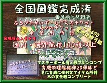 ポケモン エメラルド ふるびたかいず むげんのチケット しんぴのチケット ゲームボーイアドバンス ポケモン 配信100↑ 育成済み20↑ GBA_画像1