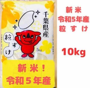 令和5年 新米 千葉県産「粒すけ」 1０Kg 体に優しい減農薬のお米 農家直送