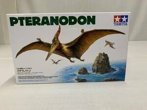 1:35 wing dragon p Terrano Don C 2024 TAMIYA