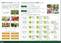 万田アミノアロファー１００ｍｌ　万田園芸用有機入り肥料　植物を元気づけし、成長促進。発色も良くなります・_画像5