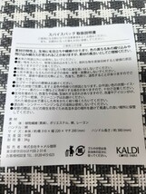 KALDl カルディ　2023スパイスバッグ　　★バッグのみ★_画像3