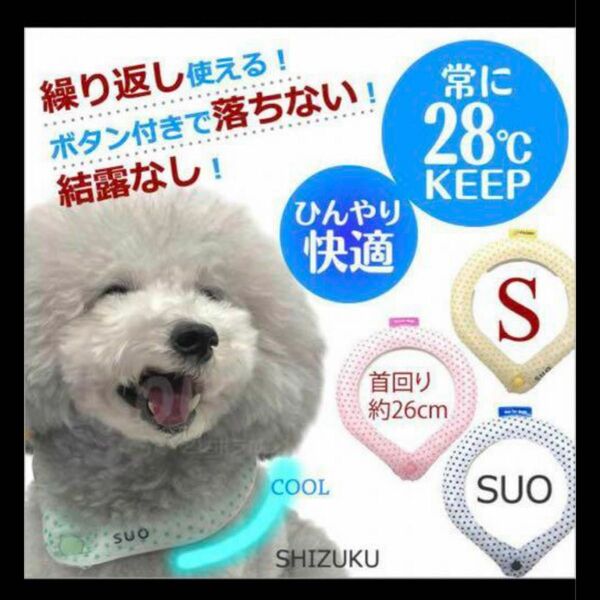 【5月12日限定値下げ】SUO クールリング S 犬 ボタン付き