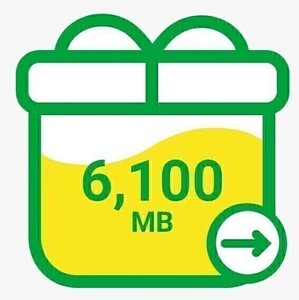 mineo マイネオ パケットギフト 約6.1GB