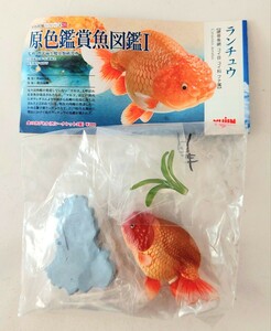 送料200円～☆希少!未使用!ユージン 原色図鑑シリーズ 原色観賞魚図鑑Ⅰ「ランチュウ」彩色済 フィギュア らんちゅう 模型 金魚 魚類 生物