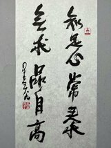 ■観心・時代旧蔵■C5847中国古書画 星雲 書法 古書道鏡片 書画鏡片 水墨中国画巻物 肉筆逸品 肉筆保証品_画像3