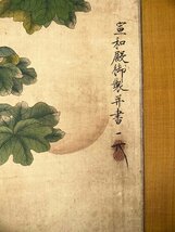 ■観心・時代旧蔵■C6046中国古書画 宋徽宗 花鳥 掛け軸 書画立軸 水墨中国画巻物 肉筆逸品 肉筆保証品_画像6