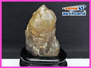 誠安◆アメジスト カテドラルライブラリー水晶原石[T573-4566]