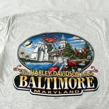 ビンテージ ハーレー ポケット Tシャツ USA製 00s 2004年製 （ HARLEY DAVIDSON バイカー バックプリント 杢グレー 霜降り 90s アメリカ製_画像1