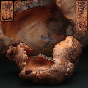 ER222 [. mountain work ] natural tree shop . Japanese cedar .. pastry pot width 26.2cm -ply 952g* shop . Japanese cedar pot * tree pot * flower vase * flower raw objet d'art 