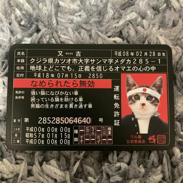 【レア】コロコロコミック限定付録 なめ猫 免許証 又吉「男気ブラック」