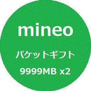 マイネオ パケットギフト 約20GB 9999MB×2