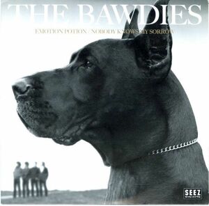 7インチ！The Bawdies / Emotion Potion 2009年【SEEZ / 3011】レコード 邦ロック ボウディーズ ステッカー付 ロックバンド J-POP