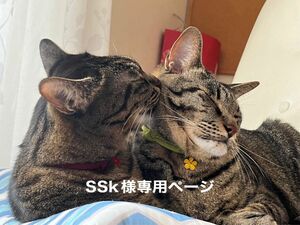 SSk様専用　和風　猫の首輪　ちりめん細紐（子猫〜小柄な成猫用）