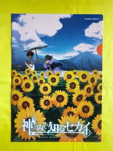 【ACF3679 】神のみぞ知るセカイ エルシィ 桂木 桂馬【クリアファイル】