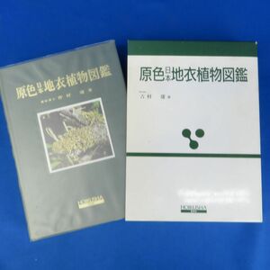 外重E5865●【図鑑】原色日本地衣植物図鑑 吉村庸 保育社 昭和62年5刷